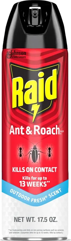 Raid Ant & Roach Killer Spray, Fresh Scent, 17.5 oz